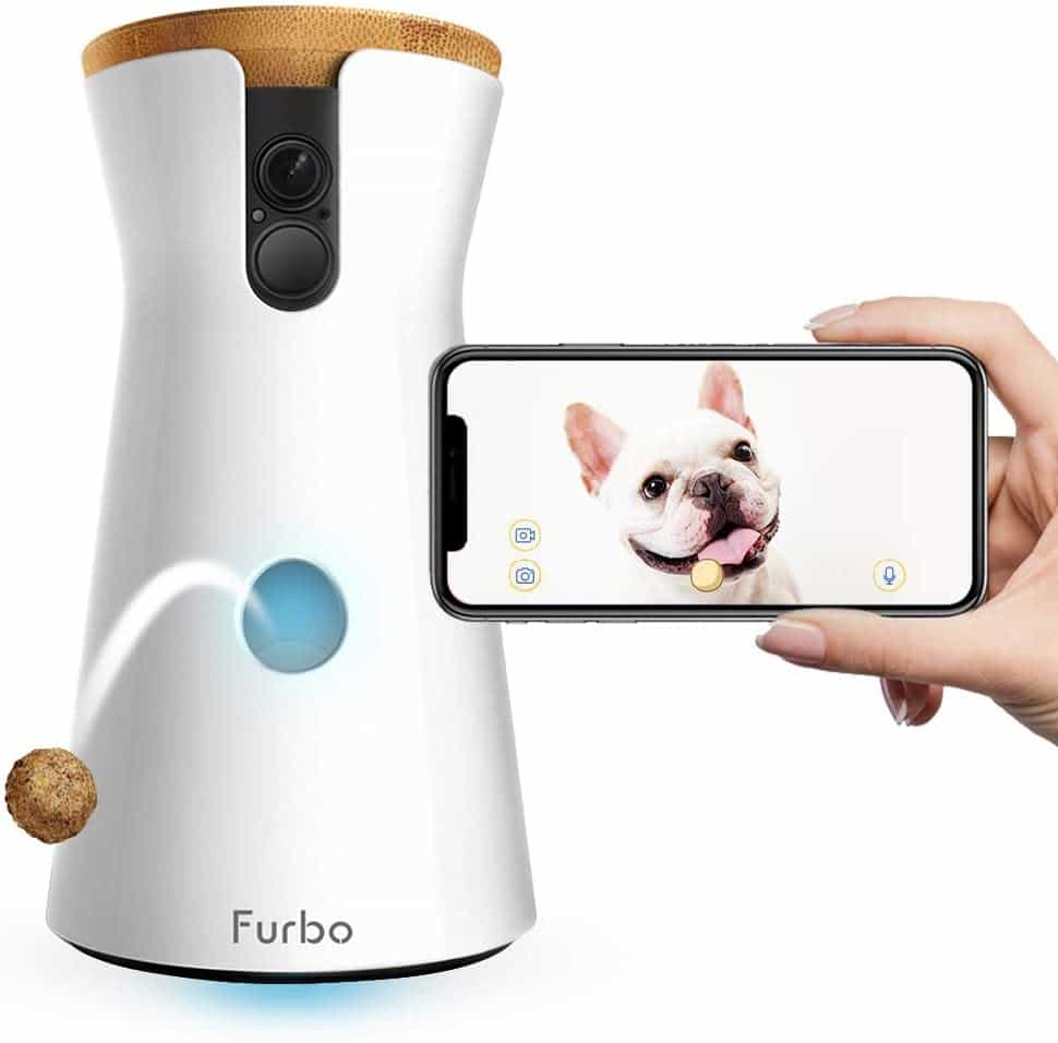 Furbo Dog Camera Review - #1 Gorgeous Interactive Pet Camera