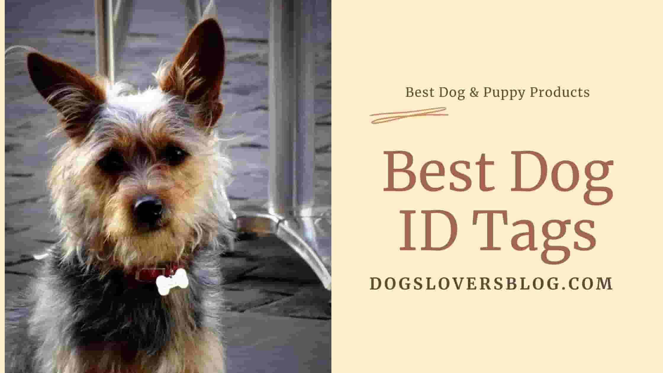 ✓ Top 5 Best Dog ID Tags in 2023 