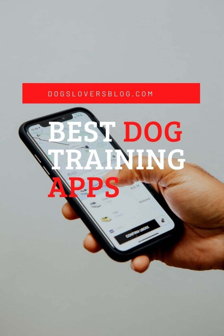 The 5 Best Dog Training Apps for Android and iOS of 2024