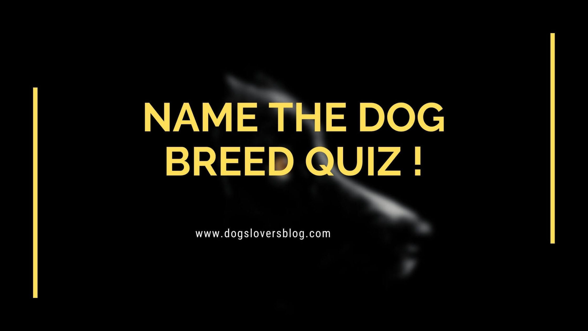 Can You Name These Dog Breeds? Name The Dog Breed Quiz