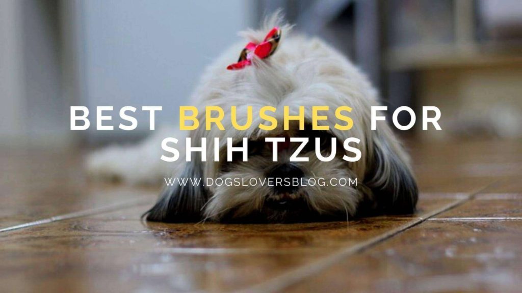 what is a good brush for shih tzu