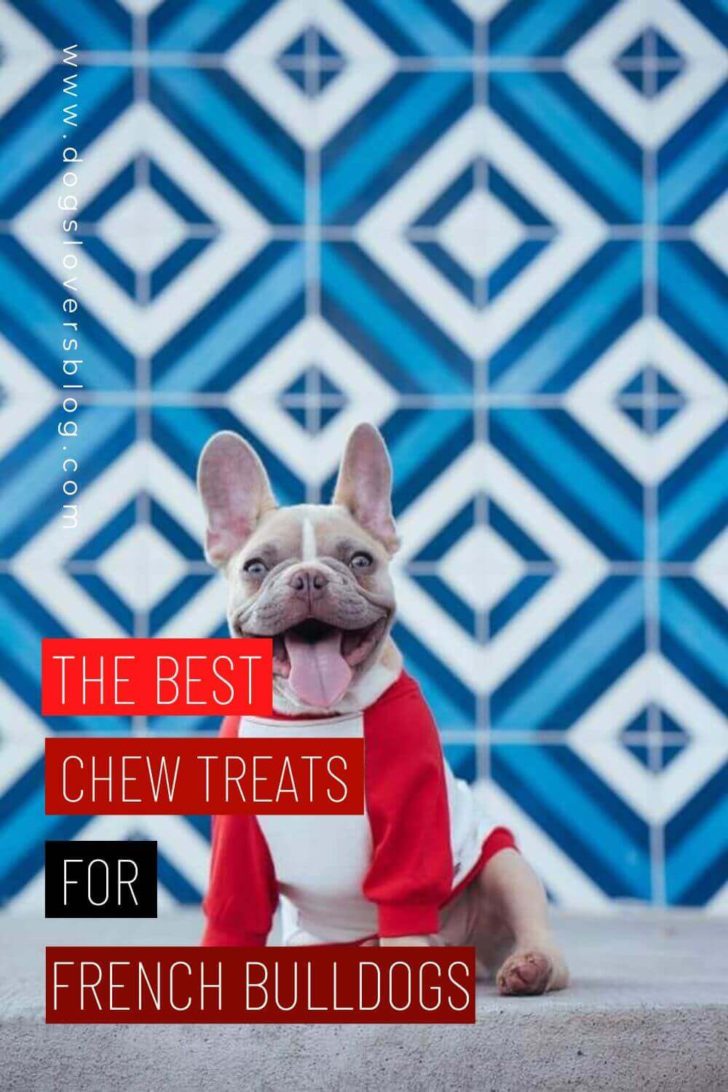 7 Best Chew Treats For French Bulldogs (2023 Review)