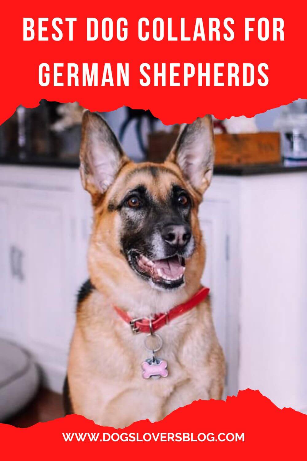 Best Dog Collars For German Shepherds in 2024 ( Top 5 Picks )