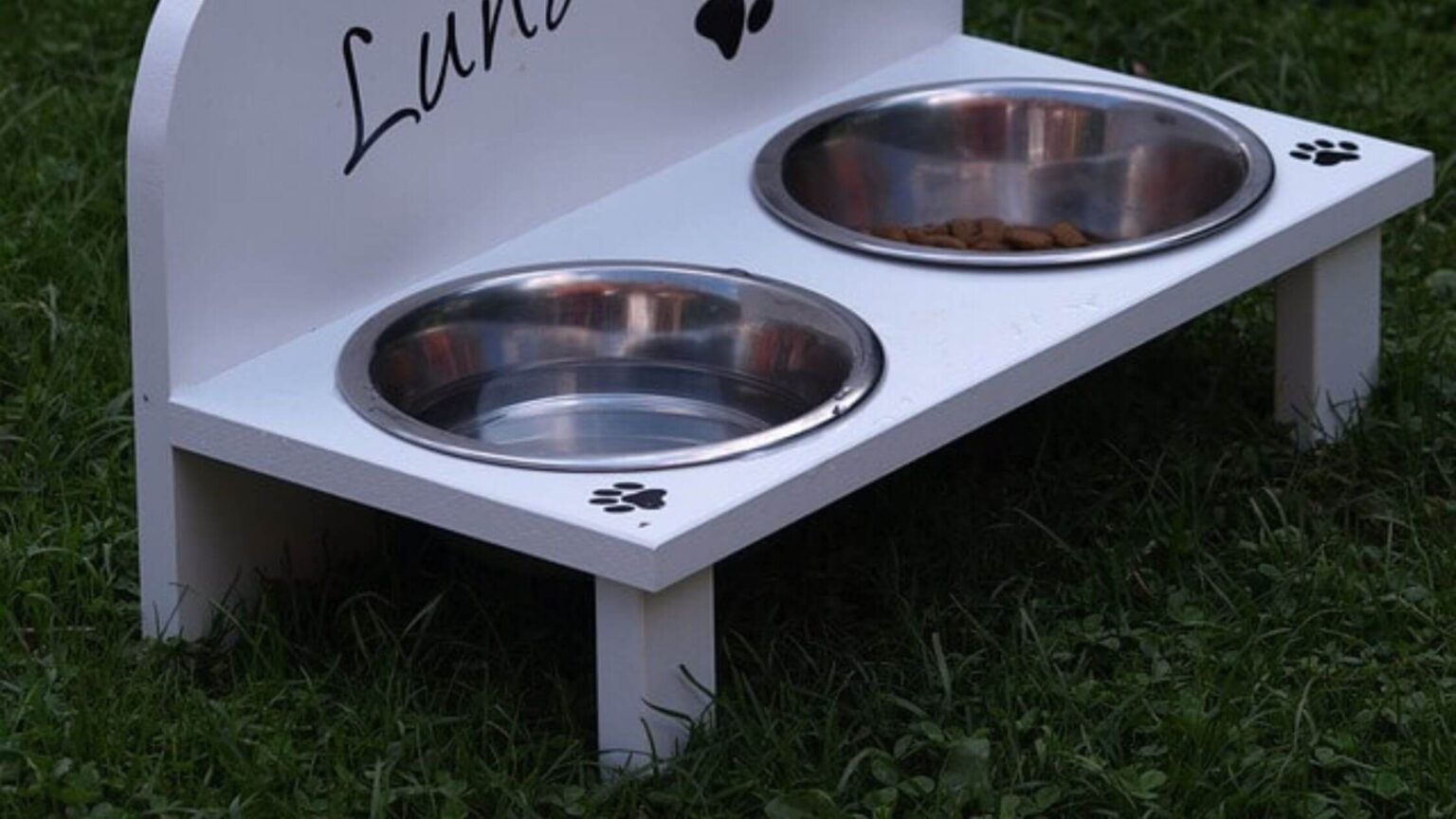 The 5 Best Elevated Dog Feeding Bowls That Make Mealtime Easier on Your ...