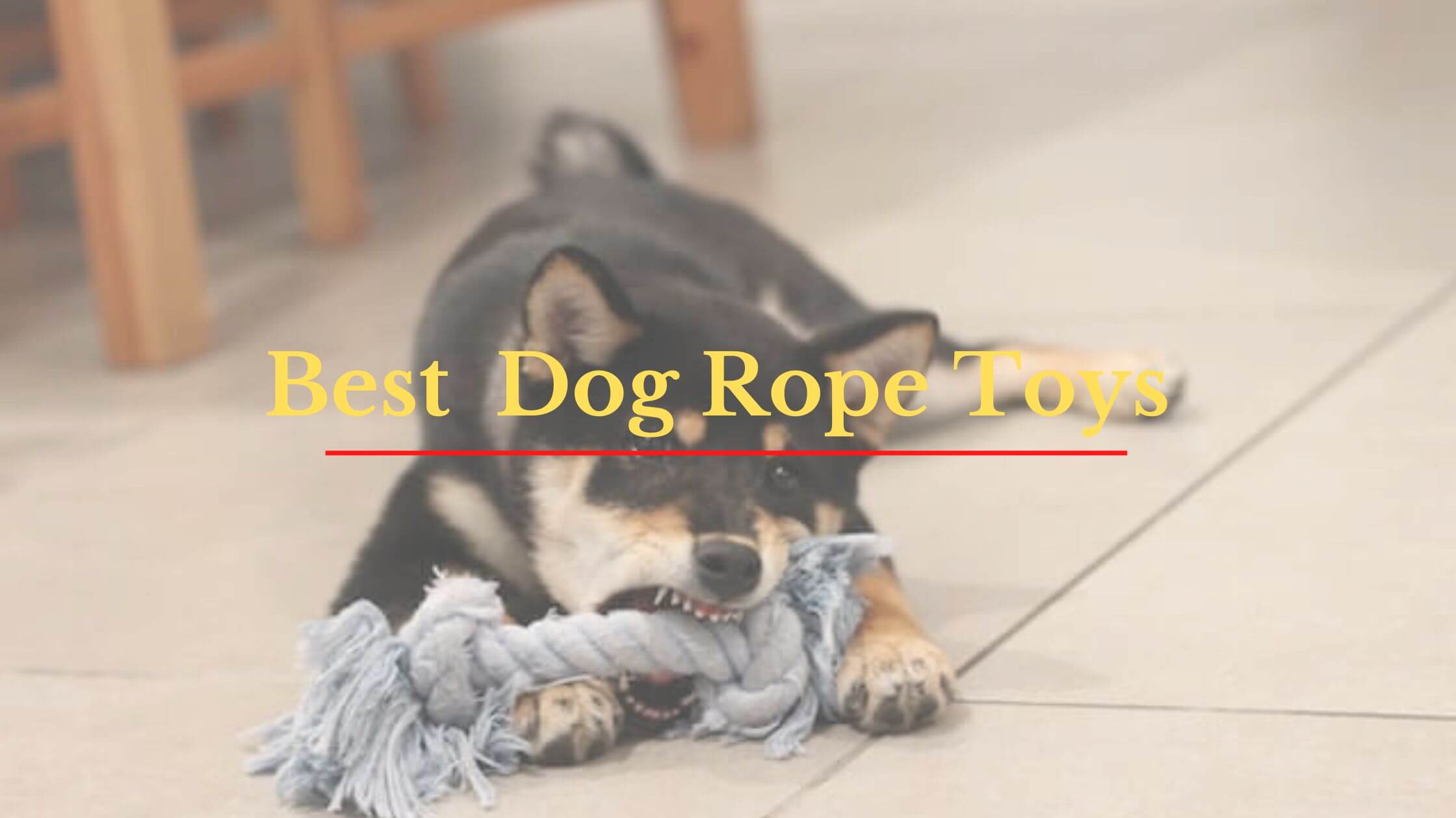 5 Best Dog Rope Toys A Comprehensive Guide For 2024   Best Toys For German Shepherd 2022 12 17T165635.941 1 